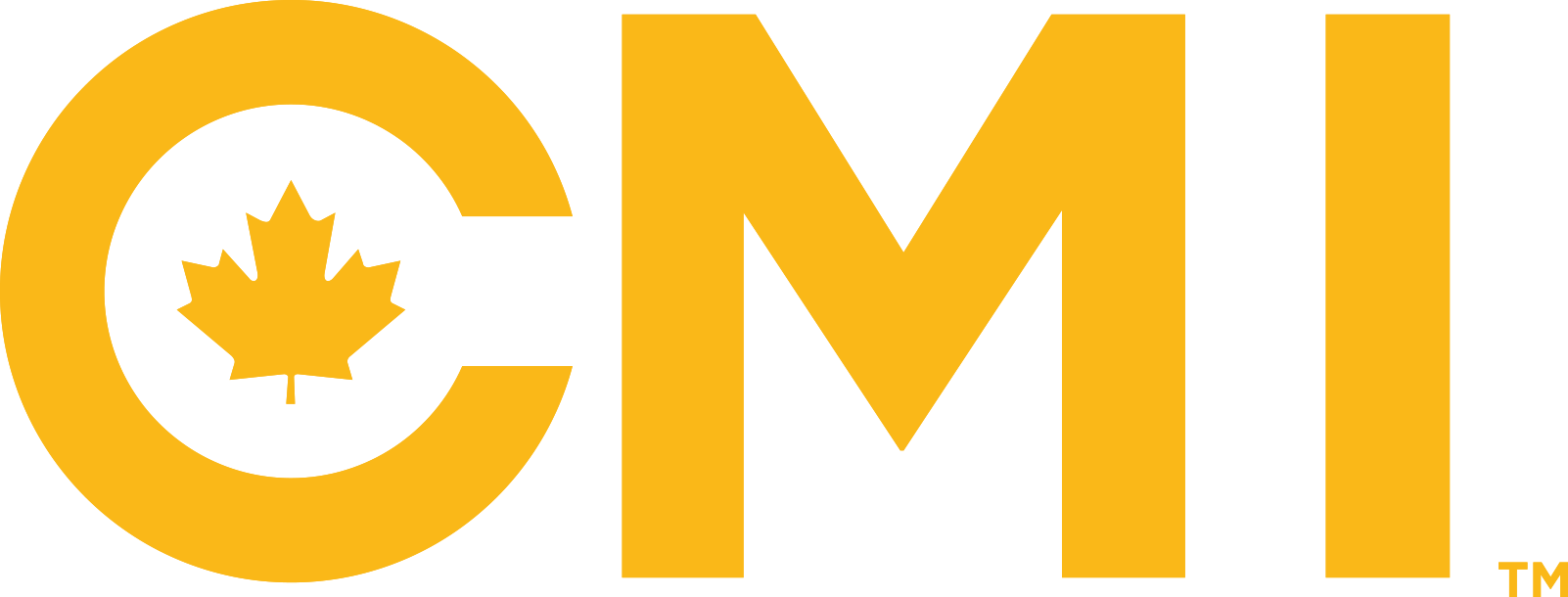 Logo CMI